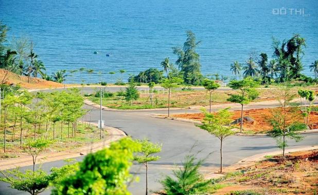 Bán đất nền biệt thự biển Phan Thiết 4,5 triệu/m2 trả chậm 16 tháng, hạ tầng hoàn thiện