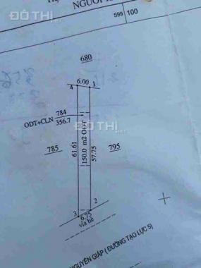 Đất kinh doanh mặt tiền đường Tạo Lực 5 (Phạm Văn Đồng), Hòa Phú, Thủ Dầu Một, Bình Dương