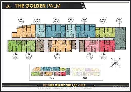 Chỉ từ 35tr/m2 sở hữu căn hộ cao cấp The Golden Palm, HTLS 0%, vay 70%, lh 097 559 1080