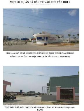 Đất cần cho thuê trong CCN Tân Hội tại Tây Ninh