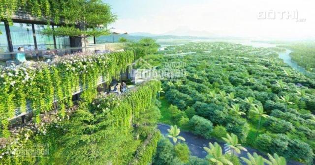 Vợ chồng tôi muốn bán biệt thự trên cao Forest In The Sky Flamingo Đại Lải Resort giá 3 tỷ, 80.6m2