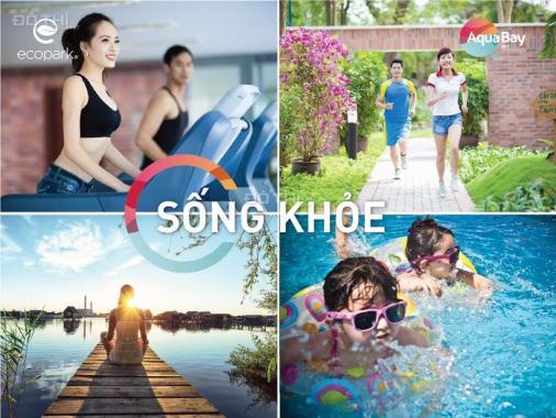 Cho thuê chung cư Ecopark giá rẻ nhất hiện nay, lh: 0964943538