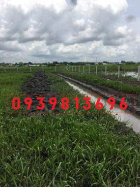 Kẹt tiền, bán gấp lô đất làm vườn ở xã Tân Thạnh Đông, DT 1100m2, giá 850 triệu, SHR