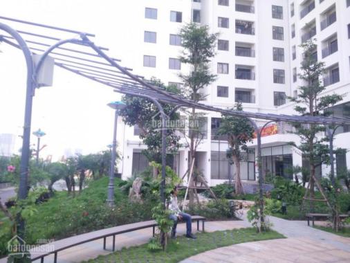 Chủ đầu tư KĐT Green Stars số 234 Phạm Văn Đồng cho thuê căn hộ giá cực rẻ, tư vấn miễn phí 100%
