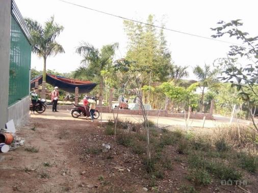 Bán đất tại đường Nguyễn Phúc Chu, P Thành Nhất, Buôn Ma Thuột, Đắk Lắk diện tích 120m2 giá 265tr