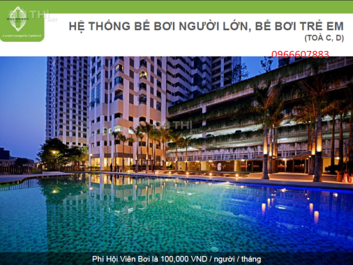 Sở hữu căn hộ xanh phong cách Singapore thu nhỏ giữa lòng Hà Nội