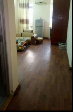 Cho thuê căn hộ chung cư B3D Nam Trung Yên, Cầu Giấy, căn 2PN full nội thất thích hợp ở hộ GĐ
