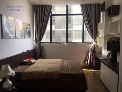 Cho thuê căn hộ CC Dolphin Plaza 198m2, 4 phòng ngủ, full nội thất 0936388680 (Có ảnh)