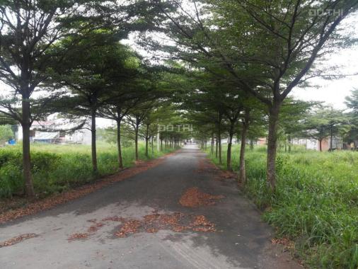 Đất nền 2 mặt tiền đường TP Biên Hòa, 5x20m, SH riêng, thổ cư 100%, hạ tầng hoàn thiện, cây xanh