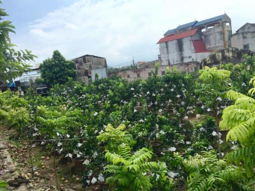 Bán gấp đất Thị trấn Văn Giang 24x60m, làm nhà vườn hay chia 4 - 6 lô nhỏ. Giá rẻ