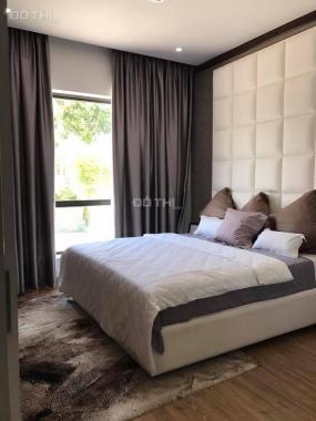 Căn hộ chính chủ cần cho thuê căn hộ 2pn, full nội thất tại Celadon City, Tân Phú ngay ST Aeon