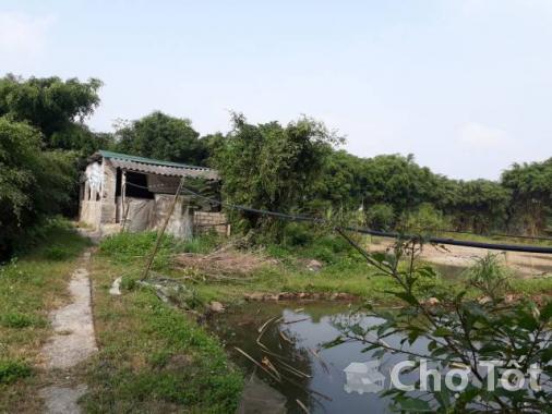Bán trang trại tại xã Thanh Lưu, huyện Thanh Liêm, Hà Nam