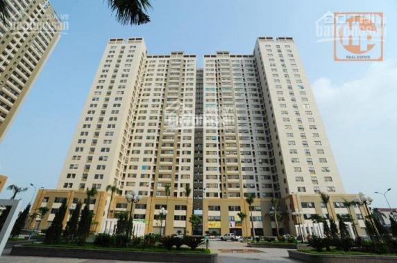 CC bán căn hộ tại khu đô thị Tân Tây Đô 56m2, full nội thất, 790 triệu bao phí. 0963865301