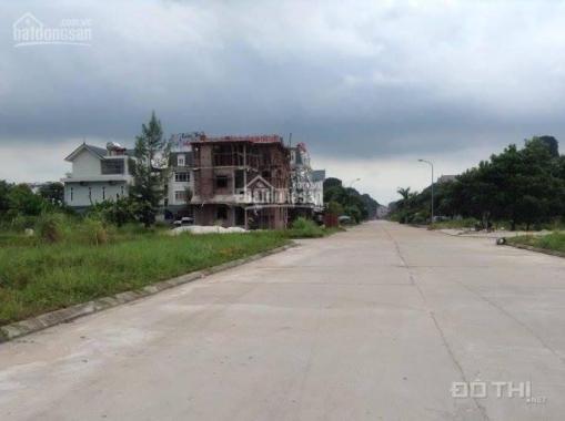Chính chủ bán nhiều lô đất ở KĐT Thống Nhất, Vân Đồn, Quảng Ninh