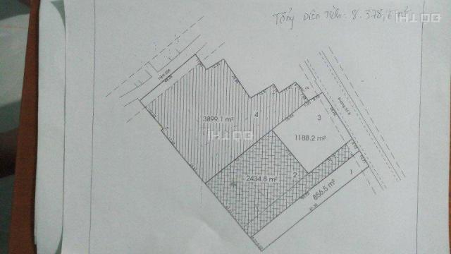 Bán đất đường 8, Phường Linh Xuân. Giá 17.5 triệu/m2