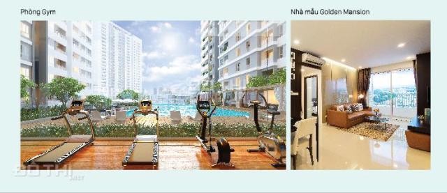 Bán căn hộ Golden Mansion - Novaland giá tốt, mặt tiền đường Phổ Quang, Phú Nhuận