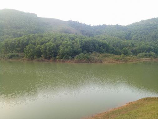 Tìm đối chuyển nhượng dự án 50 ha đất làm dự án tại huyện Kỳ Sơn, tỉnh Hòa Bình