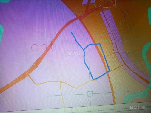 Đất nền  kinh tế ấp Cây Thông Trong, quy hoạch đất ở sổ hồng từng nền, LH 0908624027