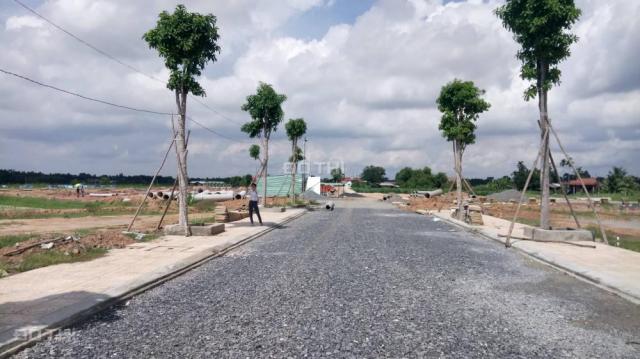 Bán đất KDC tại đường Tỉnh lộ 8, Xã Tân An Hội, Củ Chi, diện tích 75m2, giá 199 triệu
