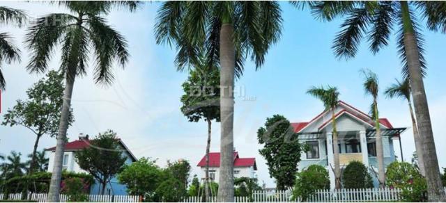 Đất biệt thự Tiamo Phú Thịnh - Khu biệt thự tọa lạc bên bờ sông giá yêu thương