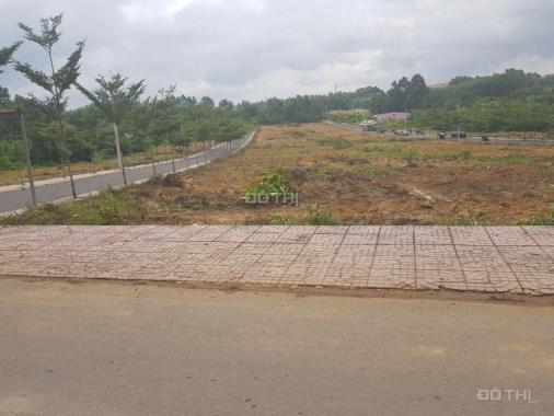 Cần bán nhanh 5 lô đất liền kề 5x21m với giá 4.3 triệu/m2, đã có sổ hồng ngay tại Biên Hòa