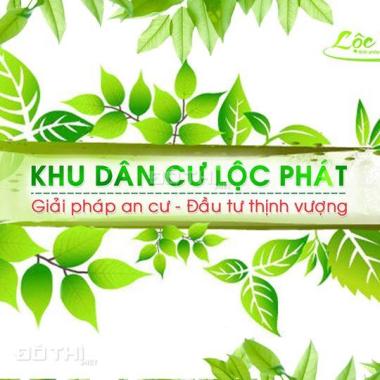 Bán đất nền dự án tại đường Dũng Sĩ Điện Ngọc, xã Điện Ngọc, Điện Bàn, Quảng Nam, DT 90m2-95m2