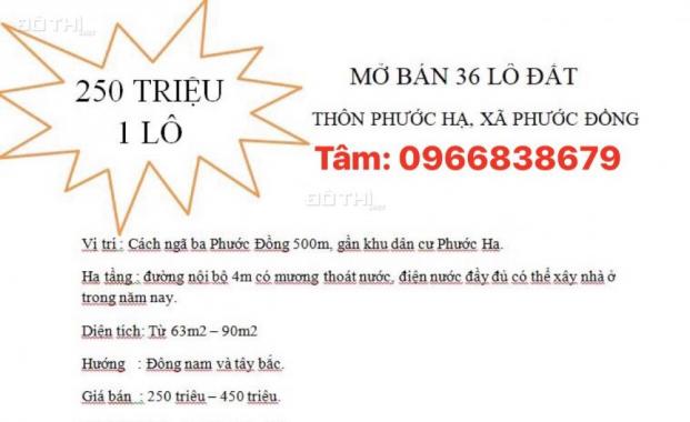 Bán đất Phước Đồng 250tr/lô, mới bán 6 ngày hết 21 lô, cập nhật những lô còn đến chiều ngày 12/10