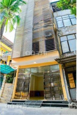 Cho thuê chung cư mini giá rẻ tại Hai Bà Trưng, Hà Nội
