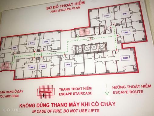 Cần bán căn góc 56m2 CT7K Park View Dương Nội, nội thất đẹp, giá 1,2 tỷ bao sang tên