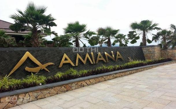 Amiana resort Nha Trang đẳng cấp nghỉ dưỡng, sinh lợi từ vốn