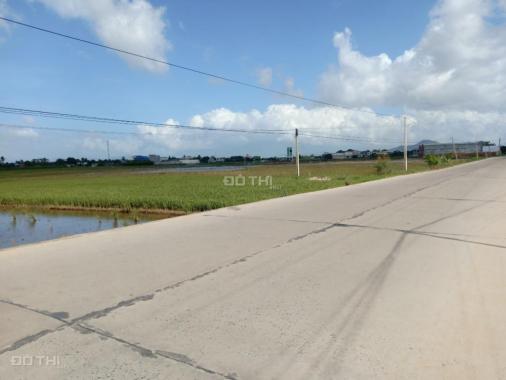 Bán đất tại Xã An Hải, Ninh Phước, Ninh Thuận. Diện tích 1500m2, giá 2,5 tỷ