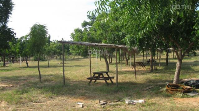 Bán 10 héc ta đất trang trại tại Lương Sơn, Bắc Bình, Bình Thuận. Tel 0938 666 848 (chủ đất)