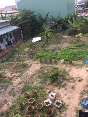 Cần cho thuê lô đất rộng đẹp ở Thuận An, Bình Dương