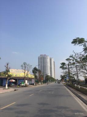 Chính chủ bán gấp CH DT 53m2 view Vinhomes, chung cư Ruby City Việt Hưng, nhận nhà tháng 3/2019