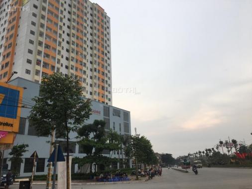 Chung cư Lộc Ninh Chúc Sơn mua bán trực tiếp chủ dự án giá tốt nhất 12,6 triệu/m2