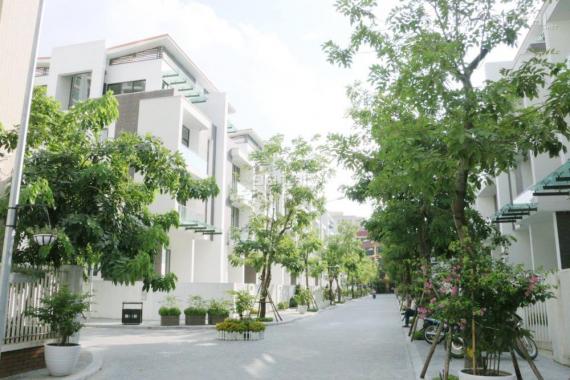 Kết thúc dự án Imperia Garden, Thanh Xuân, bán cắt lỗ căn cuối cùng 196.3m2, giá nào cũng bán