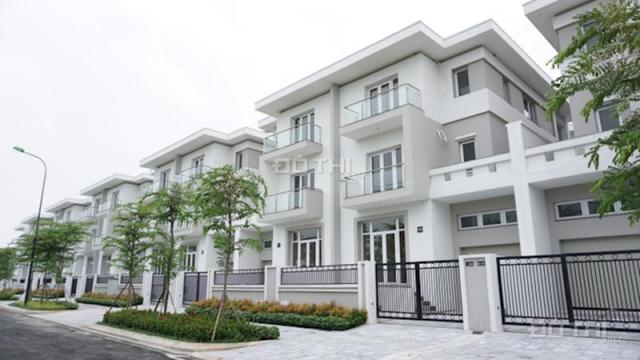 Biệt thự khu K Ciputra Hà Nội, môi trường sống xanh, nâng tầm đẳng cấp. Giá chỉ từ 110 tr/m2