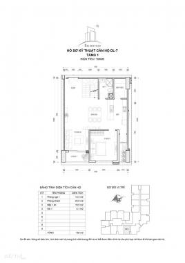 Căn hộ duplex penthouse ngay trung tâm Mỹ Đình - Biệt thự trên cao dành cho người thành đạt