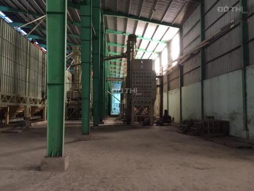 Bán kho xưởng sản xuất gạo, tại xã Hòa An, huyện Chợ Mới, An Giang, DT 9000m2, giá 18 tỷ
