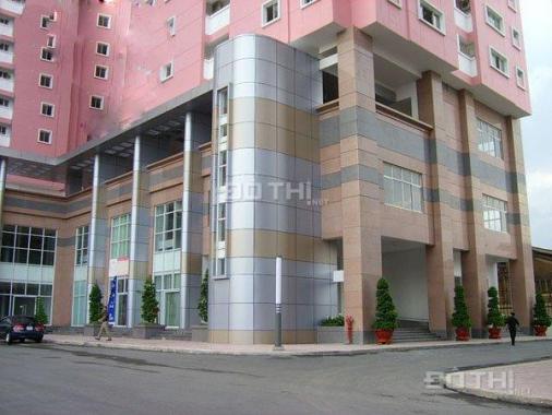 Căn hộ penthouse Central Garden, Quận 1, cho thuê 2 tầng, 2 PN, cao cấp