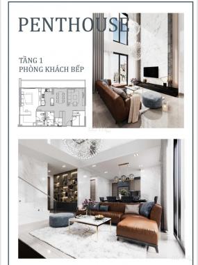Mở bán căn hộ Penthouse Duplex tại khu căn hộ cao cấp Sơn Trà Ocean View, Quận Sơn Trà, TP Đà Nẵng 