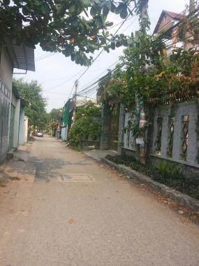 Đất 8x23m sổ hồng riêng, KP2 Phương Nam, Trảng Dài, Biên Hòa