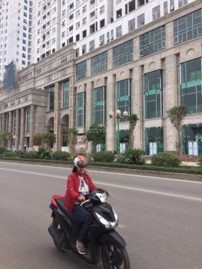 Bán căn hộ chung cư tại dự án Roman Plaza, Nam Từ Liêm, Hà Nội diện tích 74m2, giá 28 triệu/m2
