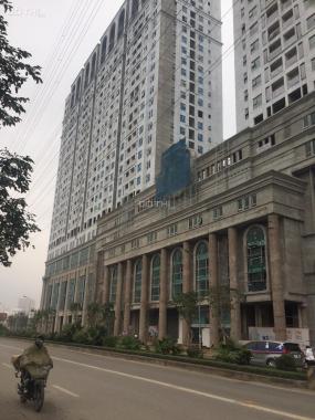 Bán căn hộ chung cư tại dự án Roman Plaza, Nam Từ Liêm, Hà Nội diện tích 69m2, giá 28 triệu/m2