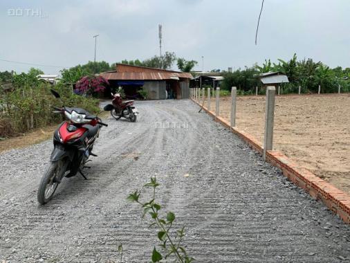 Bán đất sổ hồng riêng xã Tân An Hội, huyện Củ Chi, diện tích 2356m2