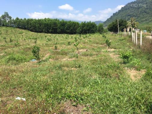 Cần bán nhanh trang trại 7ha đất vườn đẹp (Có 500m2 thổ cư) ở xã Khánh Trung, huyện Khánh Vĩnh