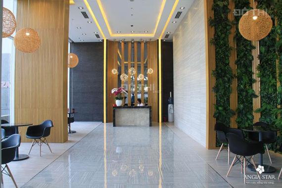 Chính chủ bán căn hộ Angia Star Bình Tân 65m2/2 PN/2 WC giá 1,3 tỷ