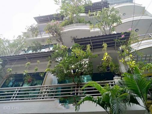 Biệt thự siêu xanh Hoàng Văn Thụ, Tân Bình, 100m2 x 4 tầng. 0971172807