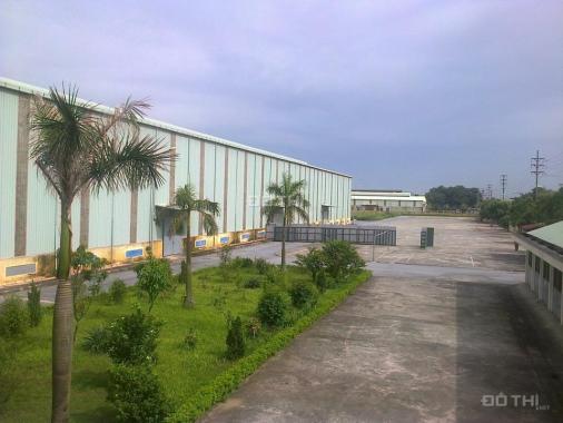 Cần chuyển nhượng nhà xưởng công nghiệp 50 năm tại Hà Bình Phương, Thường Tín, Hà Nội