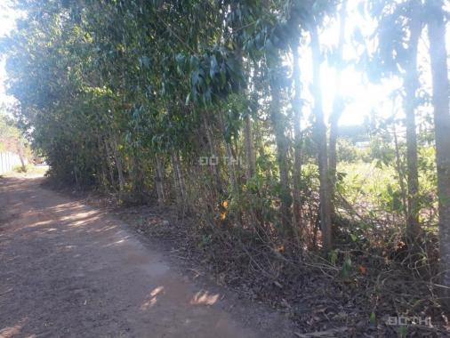 Bán 2.2 mẫu đất có nhà cấp 4 vườn xã Long Phước, Long Thành sổ hồng, giá tốt